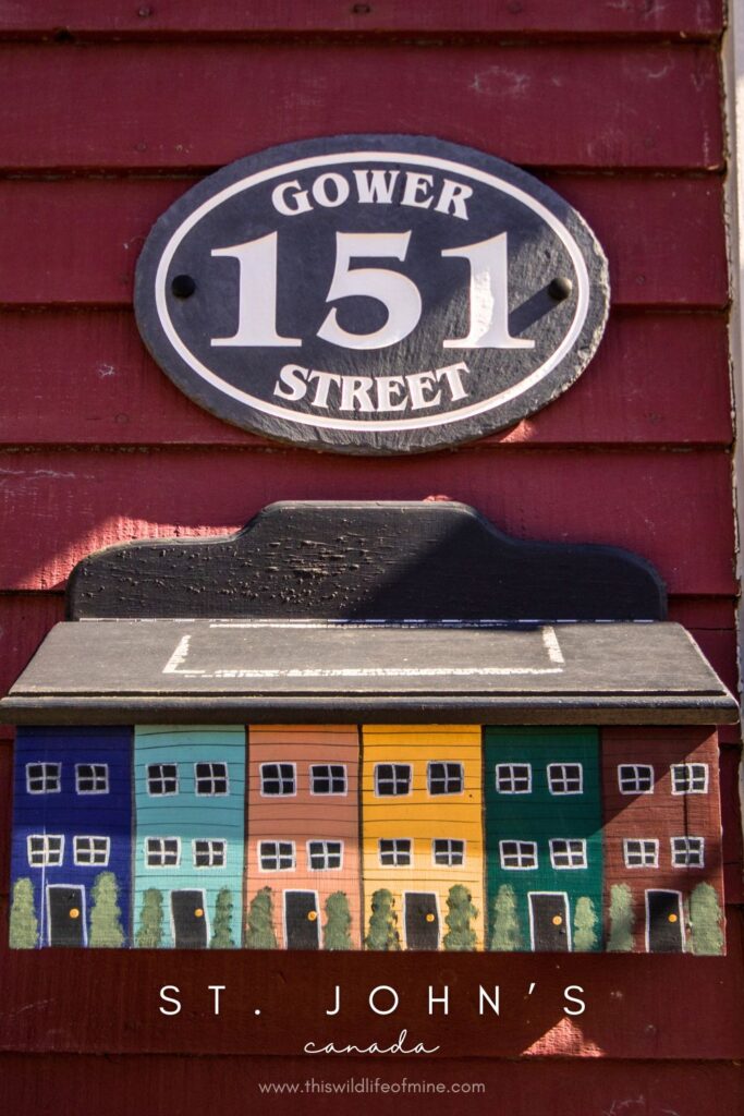 How to spend four days in St. John's, Canada