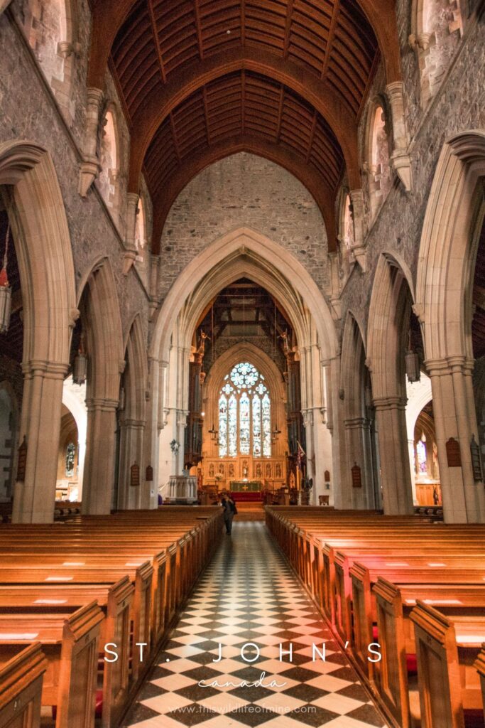 How to spend four days in St. John's, Canada