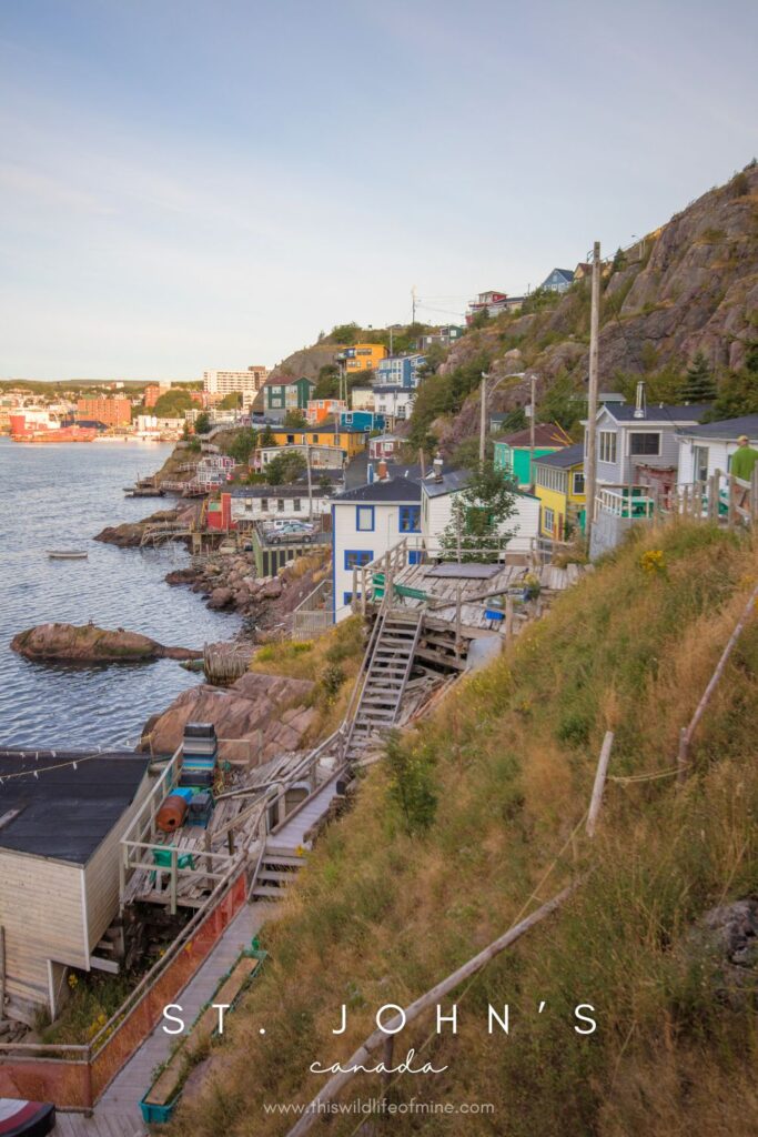 How to spend four days in St. John's, Canada