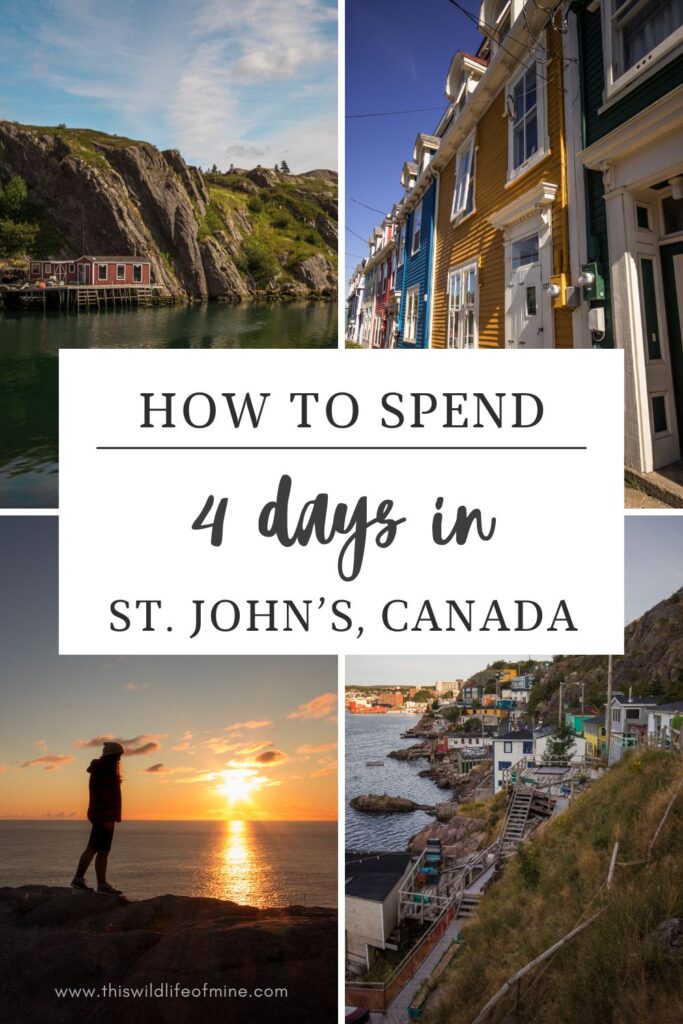 How to spend four days in St. John's, Canada