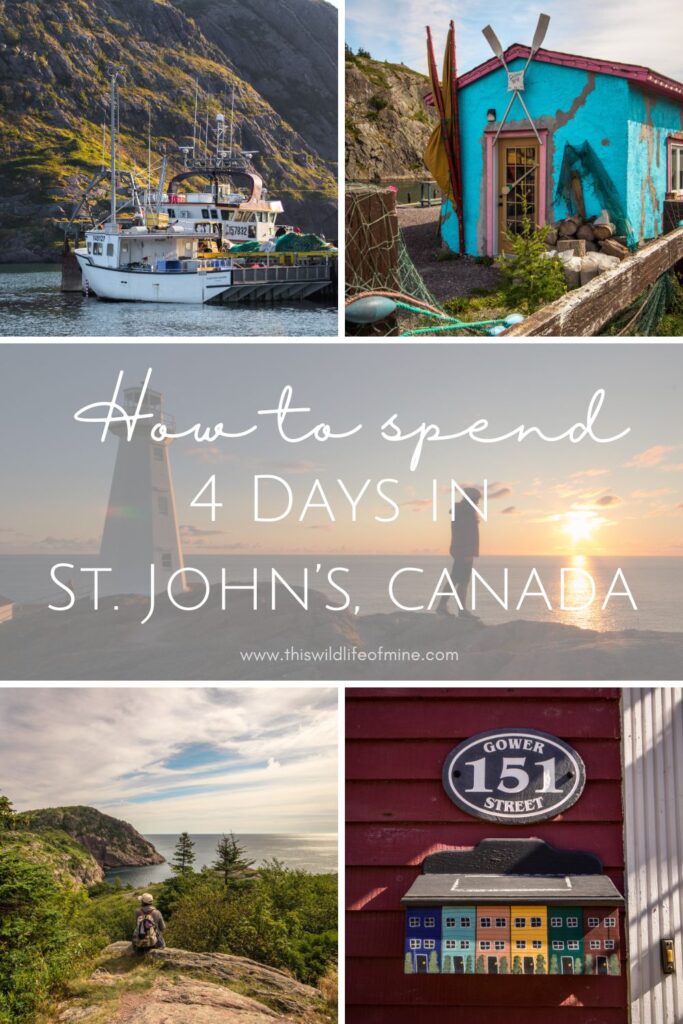 How to spend four days in St. John's, Canada