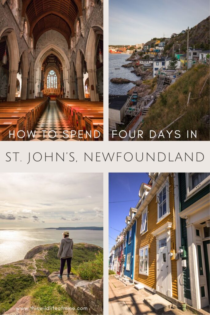 How to spend four days in St. John's, Canada