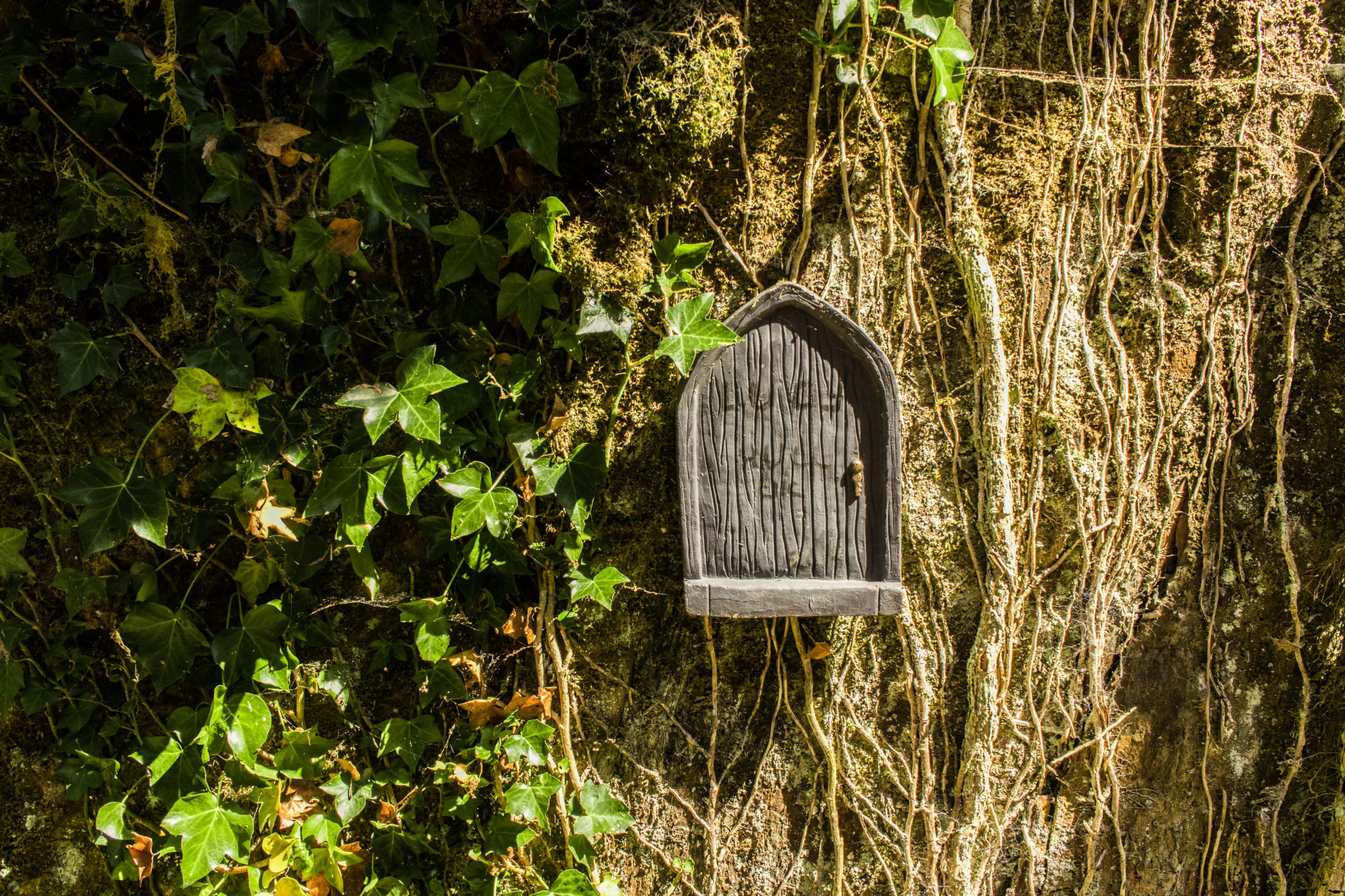 Fairy door on the Waterford Greenway, Ireland