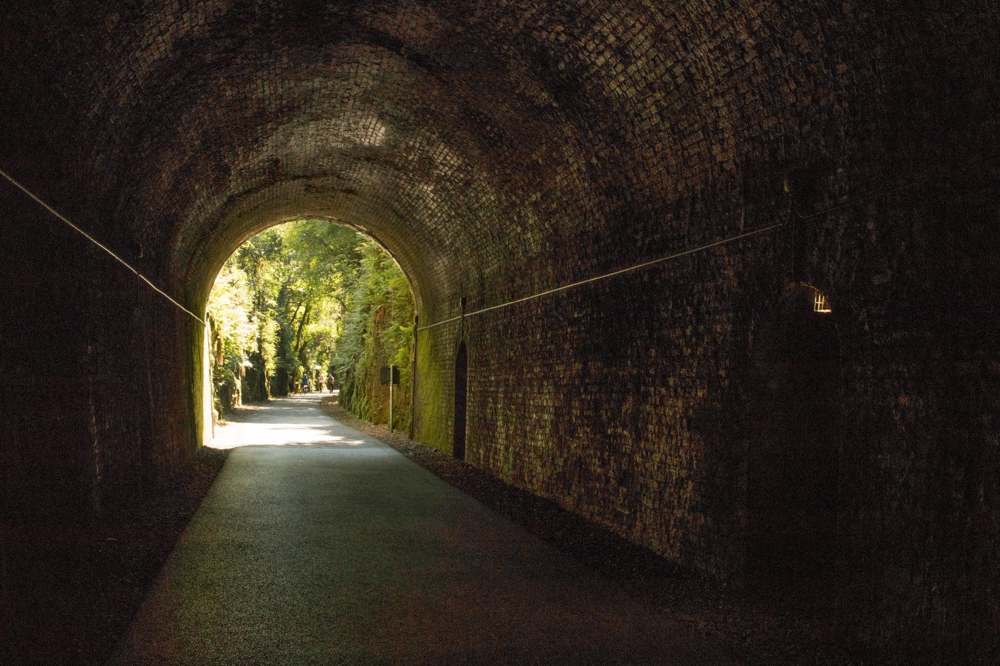 Cycling through a tunnel on the Waterford Greenway, Ireland
