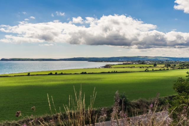 Fields by the ocean in Waterford, Ireland