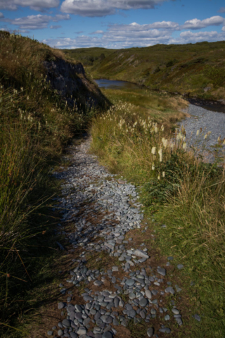Walking the trail to Mistaken Point in Newfoundland, Canada
