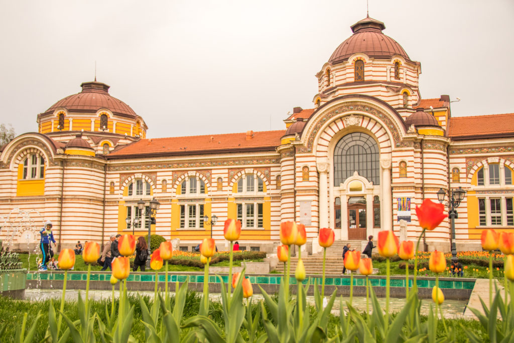 Tulips dotting the centre of Sofia, Bulgaria