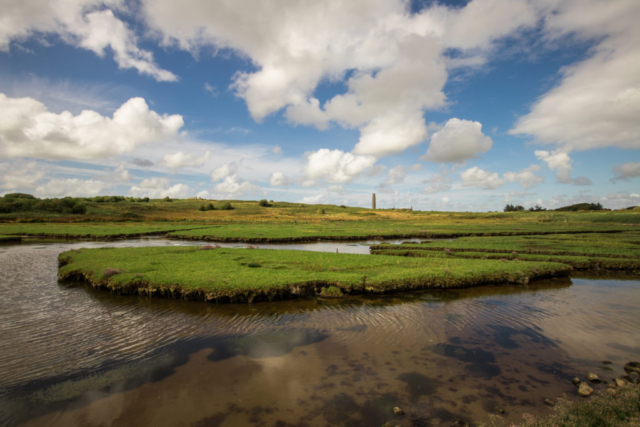 The saltmarshes of Scattery Island, Ireland.