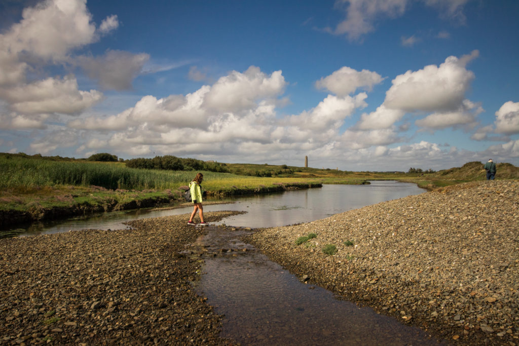 The beauty of Scattery Island is everywhere, Ireland