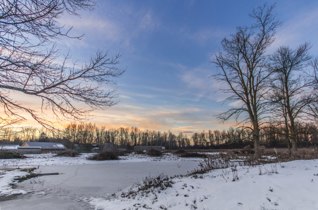 A snowy sunrise in Napanee, Canada