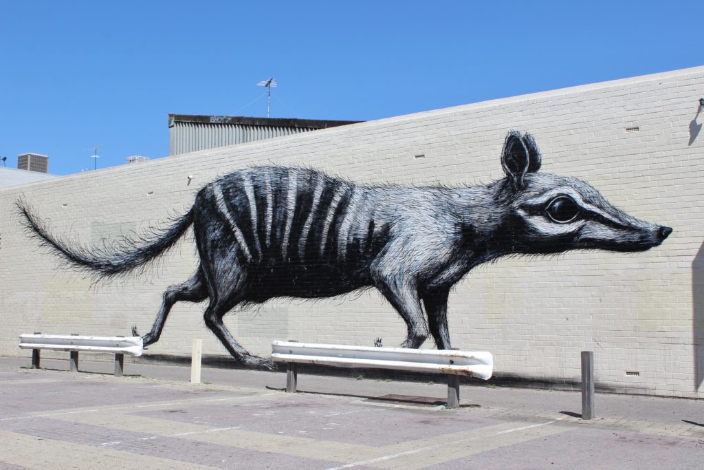 Street Art in Fremantle, Australia