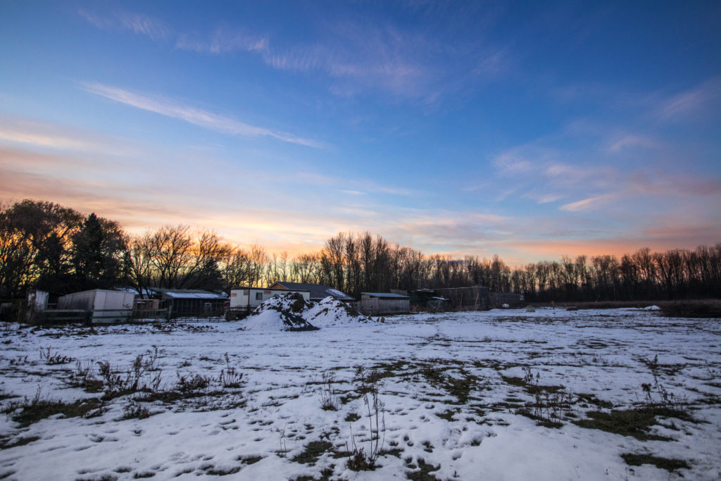 Sandy Pines Wildlife Centre in the snow, Ontario, Canada