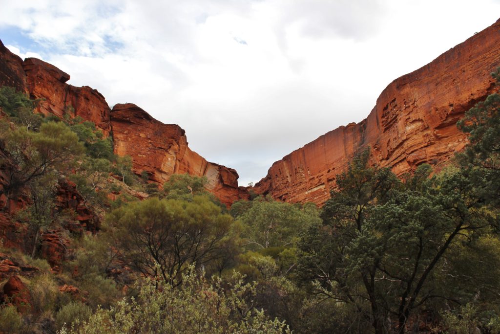 The view of the ridge from inside King's Canyon