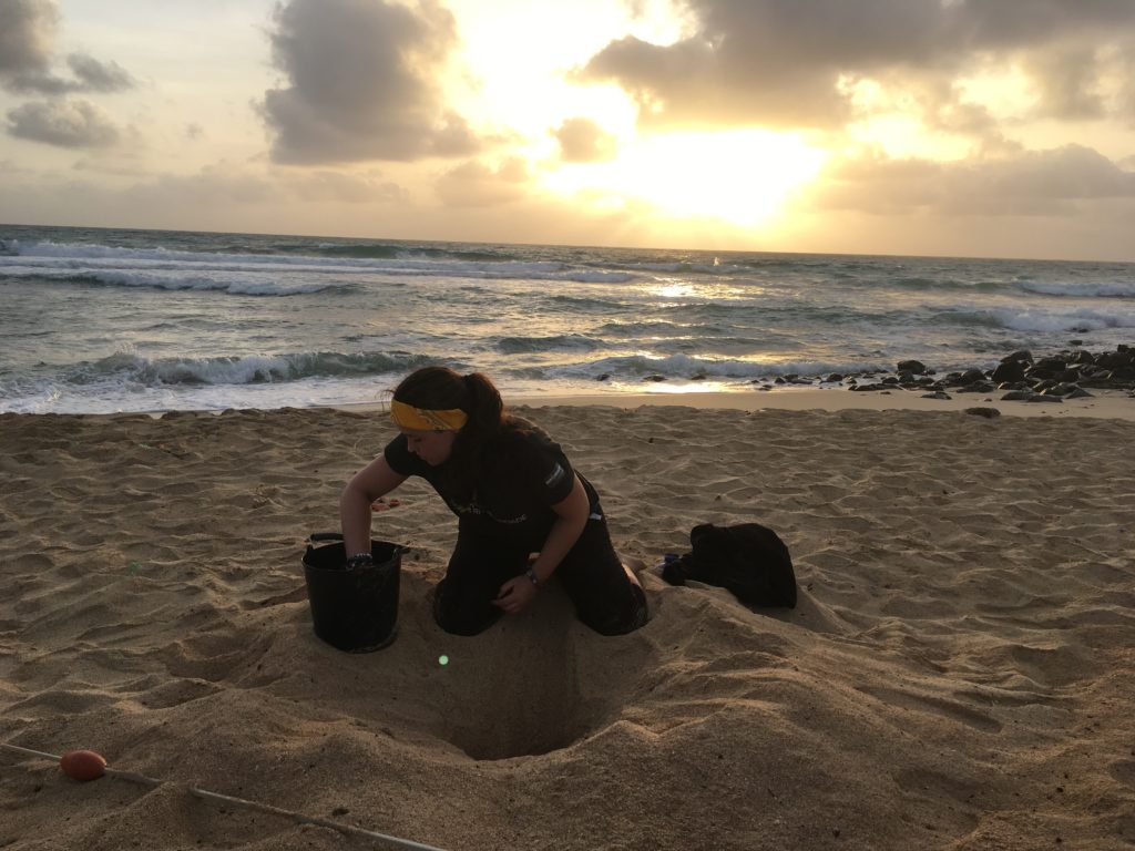 Relocating an endangered nest at sunrise with Project Biodiversity on Sal