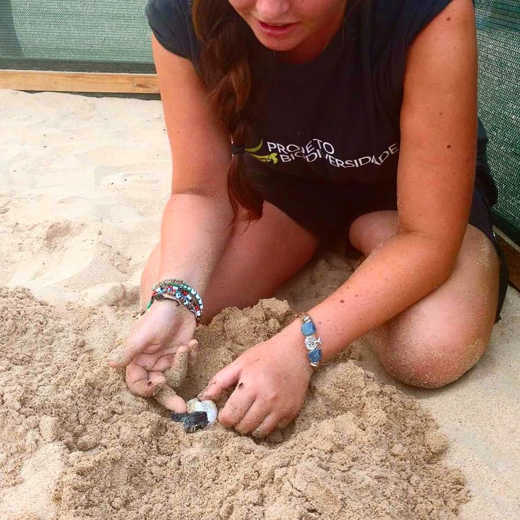 Helping a hatchling out of its shell while working for Project Biodiversity on Sal
