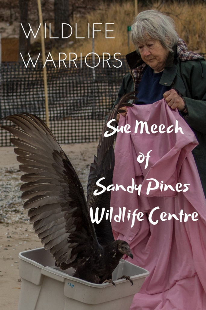 Wildlife Warriors - Sue Meech of Sandy Pines Wildlife Centre, Ontario, Canada