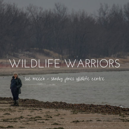 Wildlife Warriors - Sue Meech of Sandy Pines Wildlife Centre, Ontario, Canada