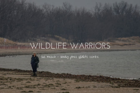 Wildlife Warriors - Sue Meech of Sandy Pines Wildlife Centre, Ontario, Canada
