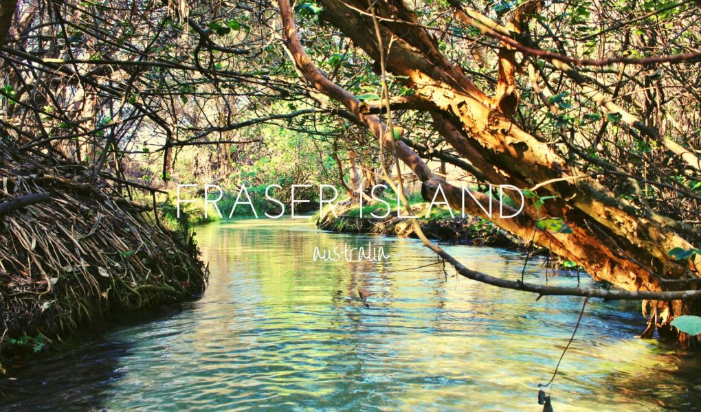 Fraser Island - a day trip will give you seven hours in heaven on the east coast of Australia