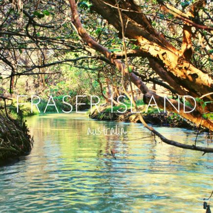 Fraser Island - a day trip will give you seven hours in heaven on the east coast of Australia