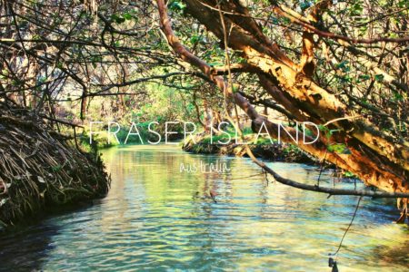 Fraser Island - a day trip will give you seven hours in heaven on the east coast of Australia