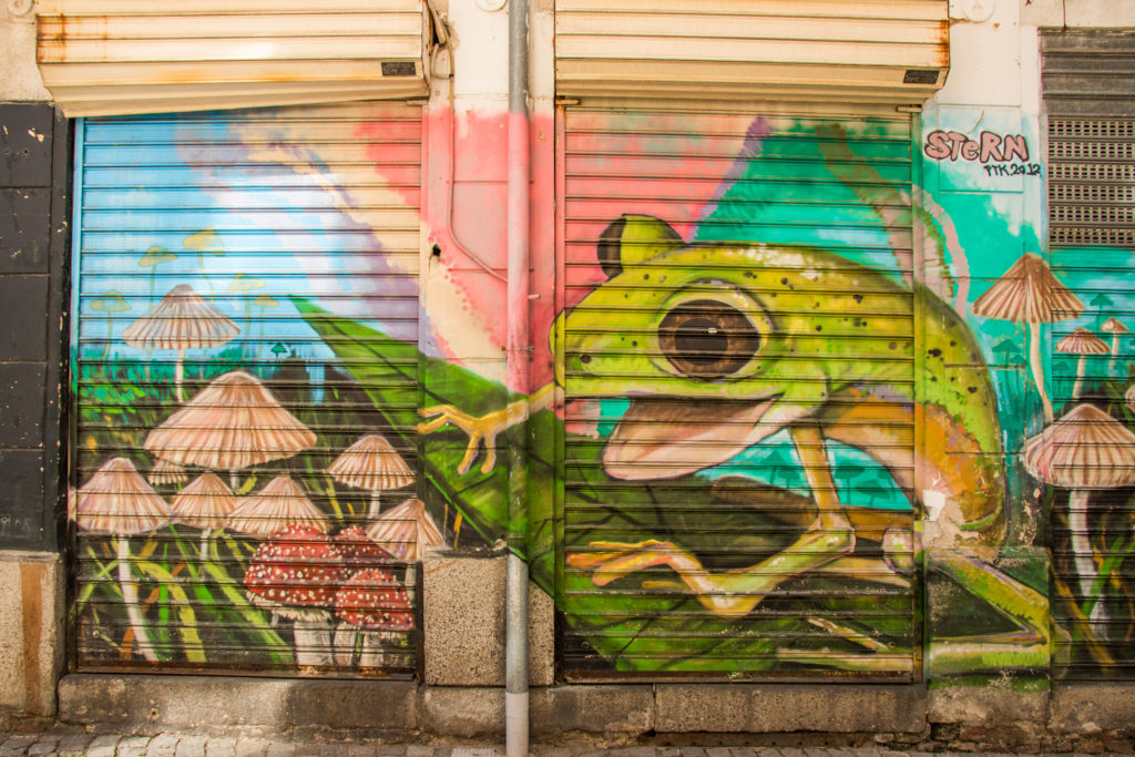 Frog street art in Plovdiv, Bulgaria