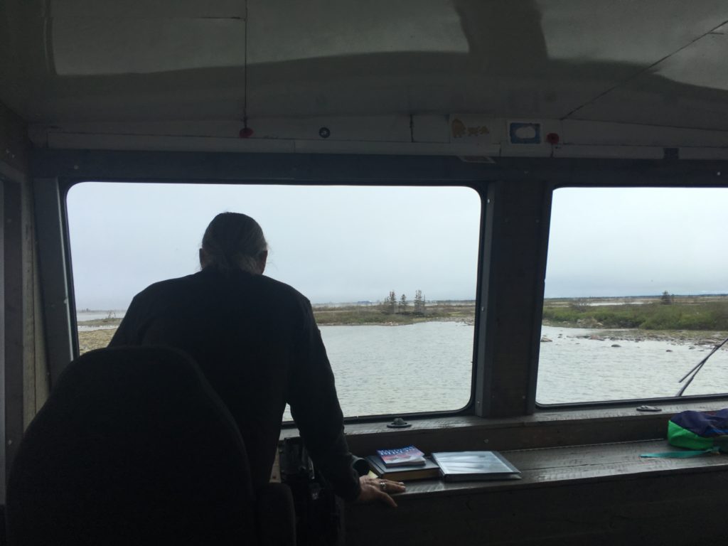 Driving a tundra buggy through flooded paths near Churchill, Canada