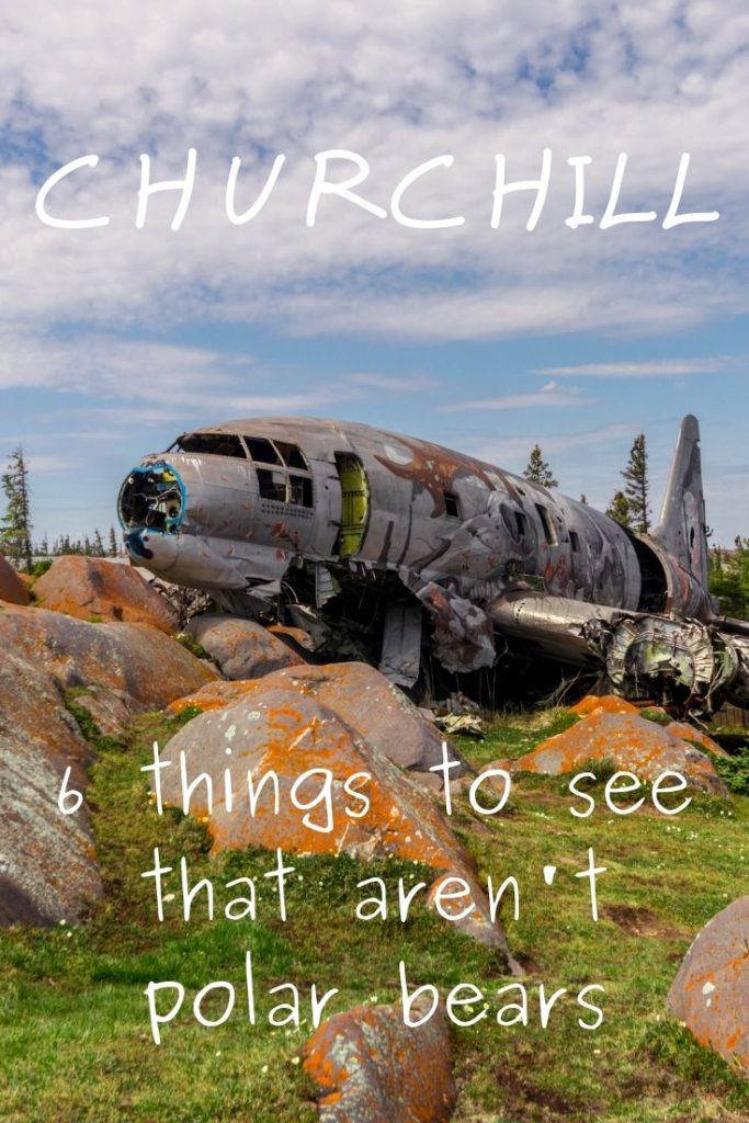 Churchill - 6 things to see that aren't polar bears