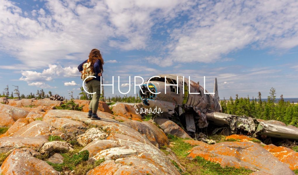 Churchill - 6 things to see that aren't polar bears
