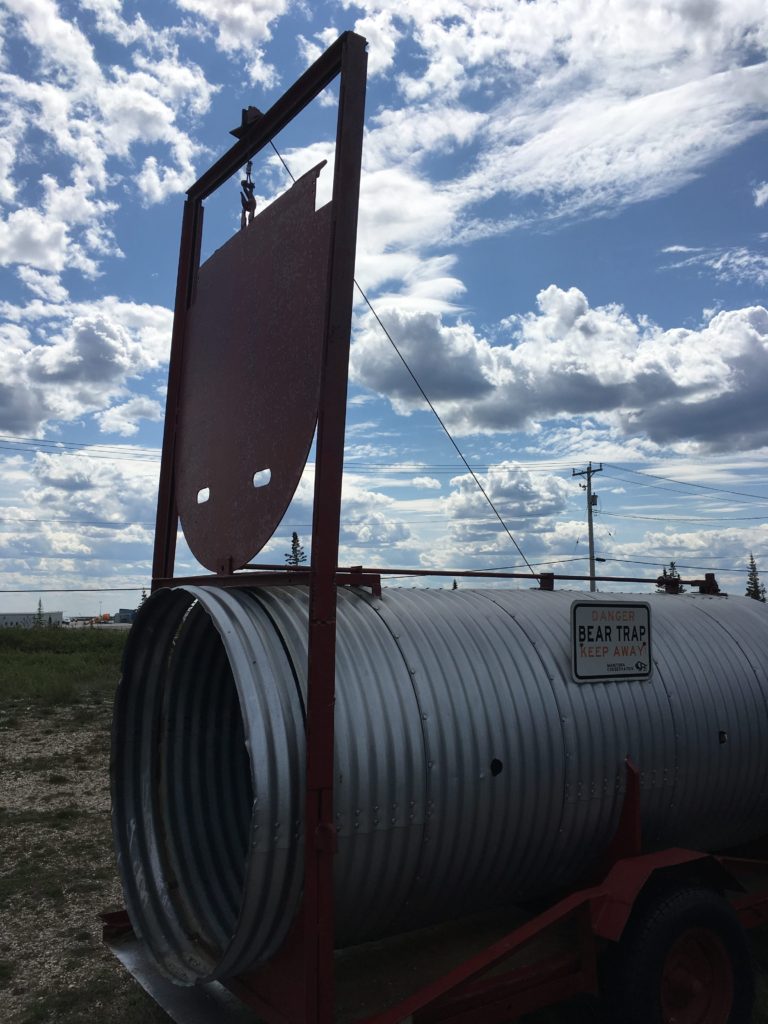 A polar bear trap for capturing and relocating problem bears in Churchill, Canada
