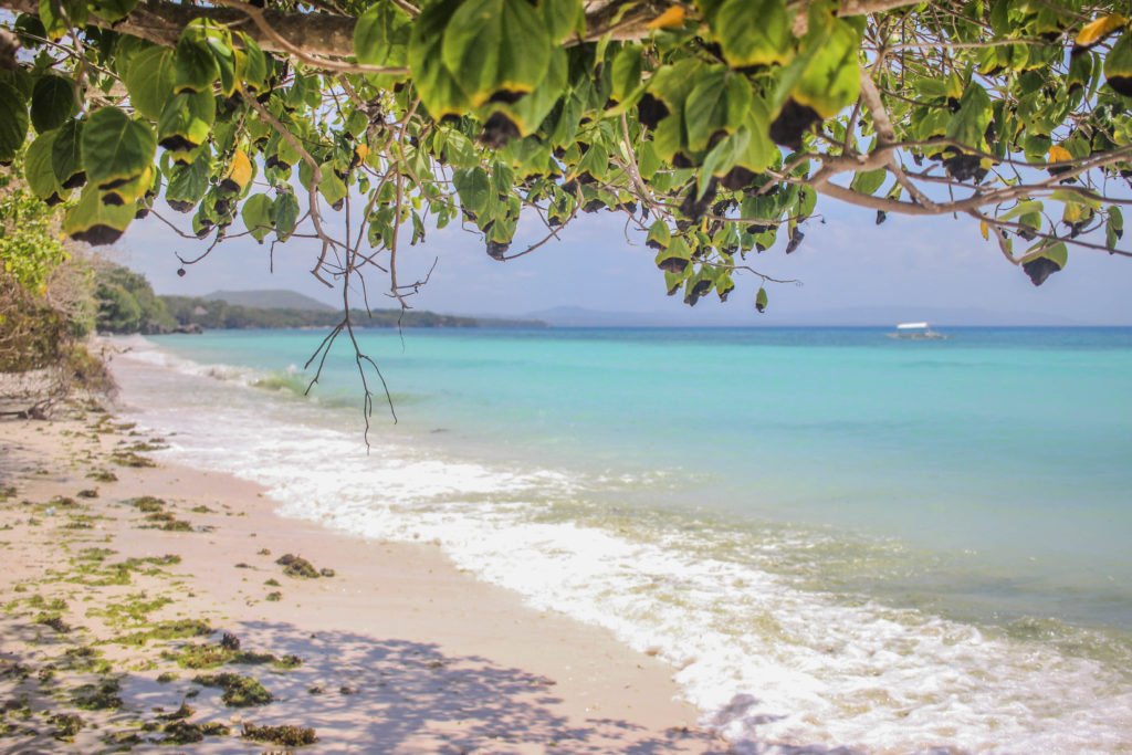 A beautiful white sand beach on the island of Bohol in the Philippines