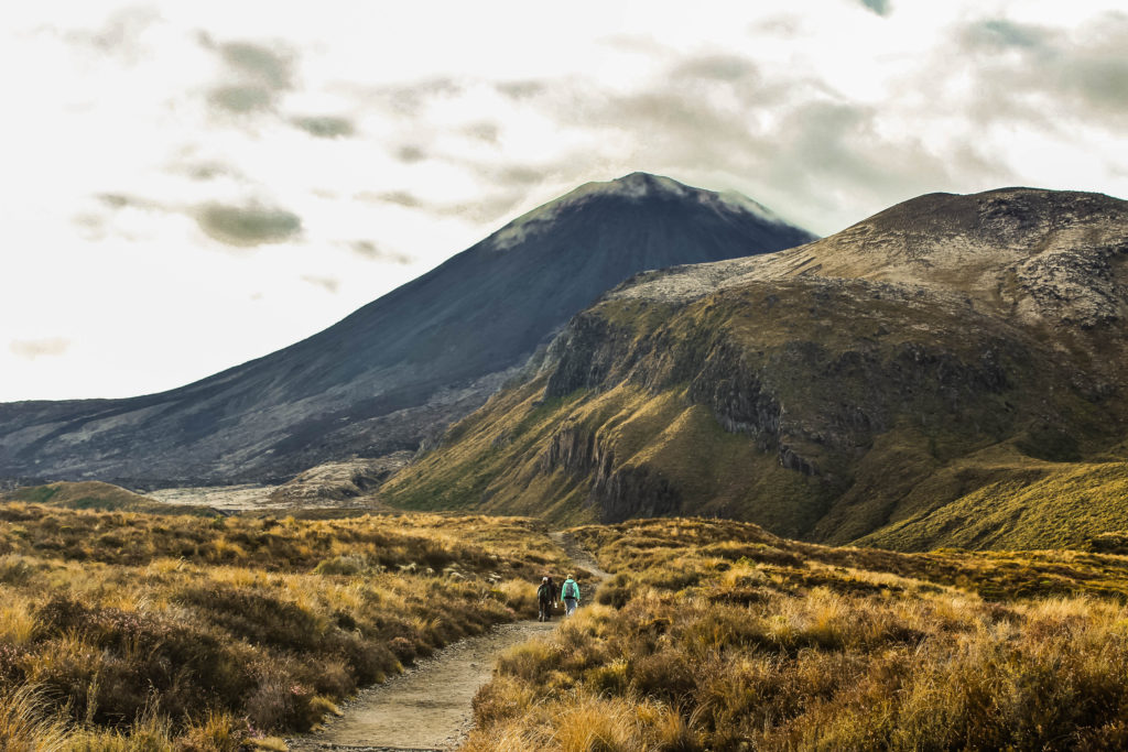 The start of the path towards Mount Ngauruhoe