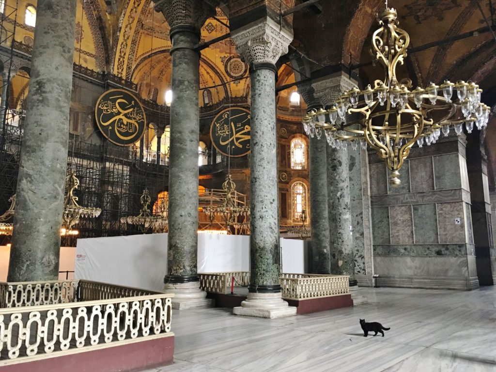 A black cat walks around the interior of the Hagia Sofia, one of the best things to see during three days in Istanbul, Turkey