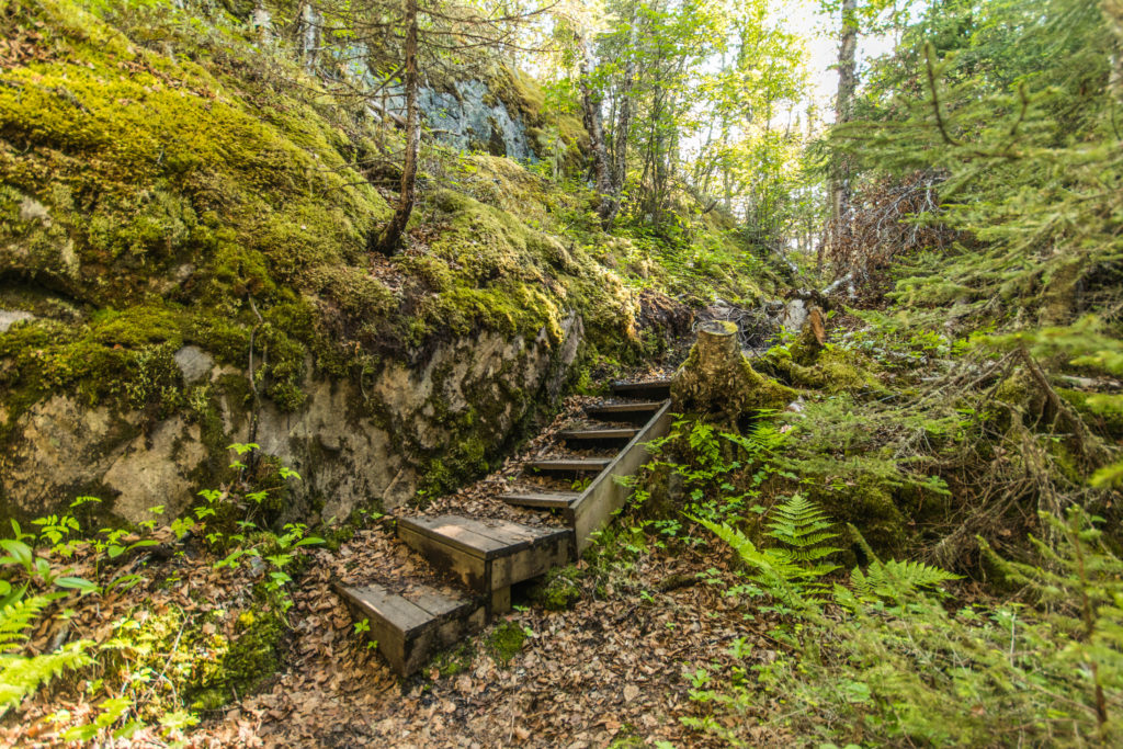 Steps leading through the forest in Pukaskwa National Park, Ontario