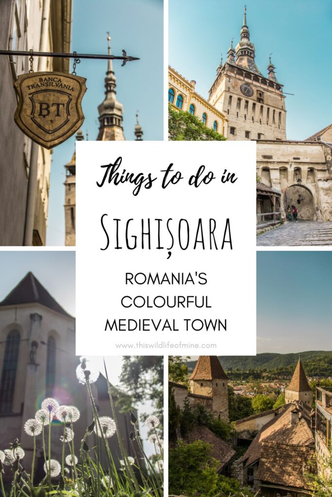 Things to do in Sighisoara, Romania