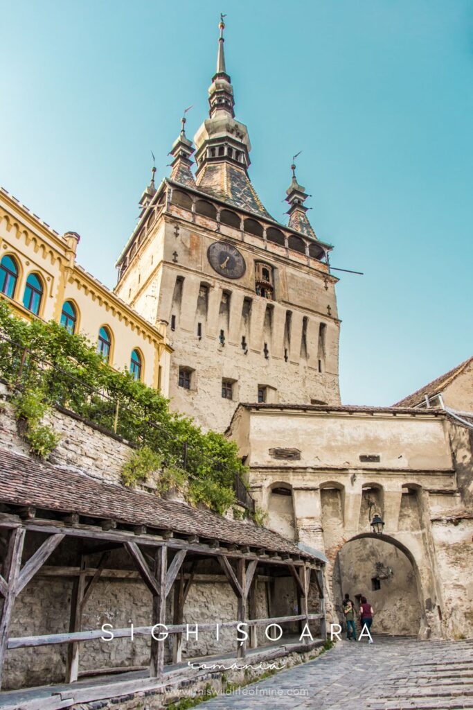 Things to do in Sighisoara, Romania