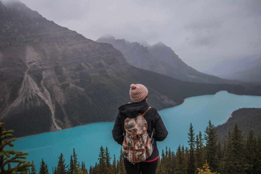 Looking over the blue glacial waters of Peyto Lake from the viewpoint above. Alberta, Canada