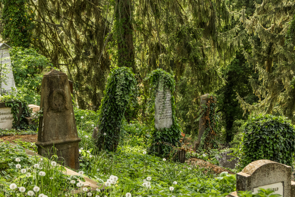 The ivy-covered German Cemetery at the top of Sighisoara, Romania
