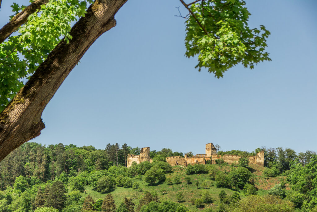 Saschiz Castle on the top of the hill above the town