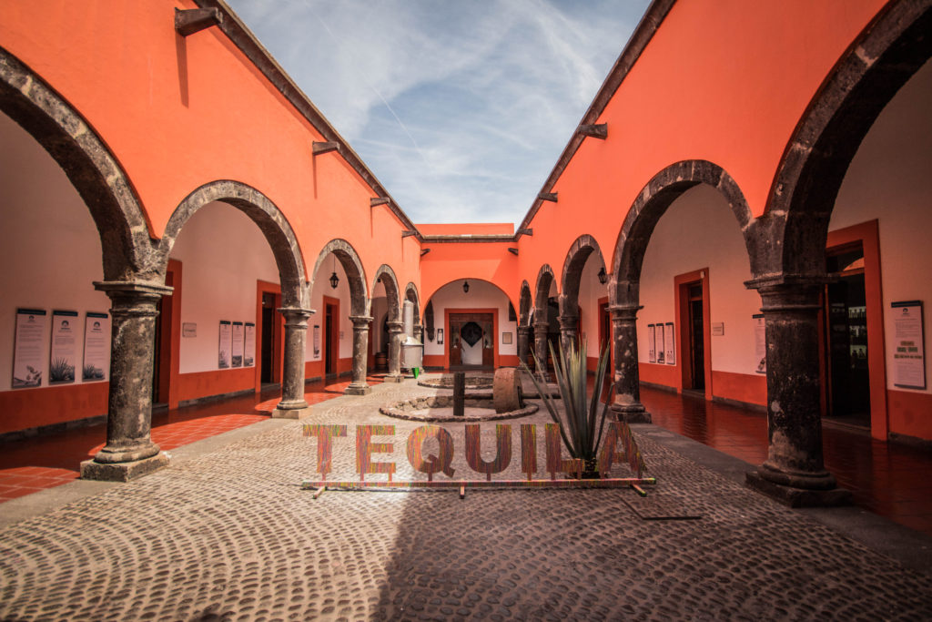 Orange courtyard in Tequila