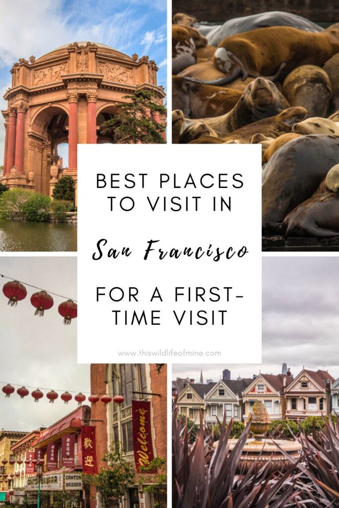 The best places to visit in San Francisco on a first-time visit