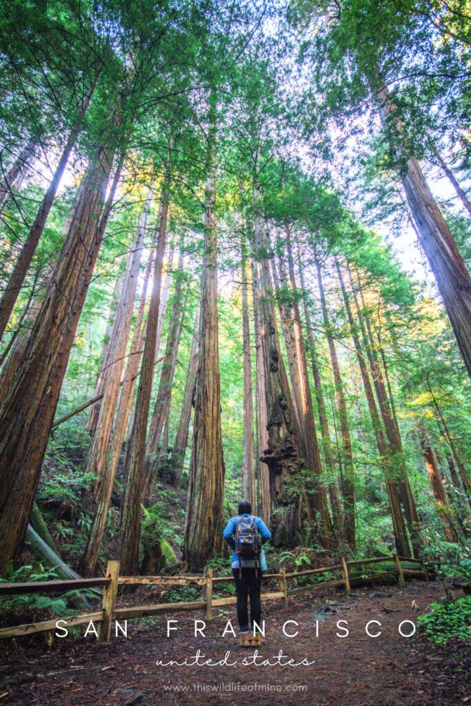 The best places to visit in San Francisco on a first-time visit