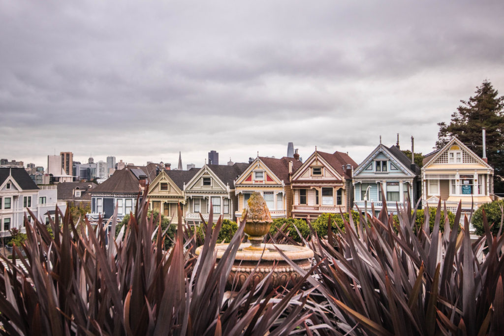 San Francisco's pretty Painted Ladies