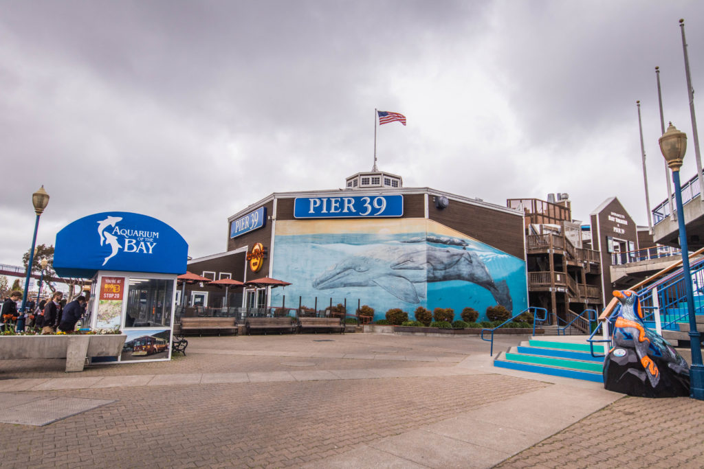 Pier 39, a popular tourist place in San Francisco