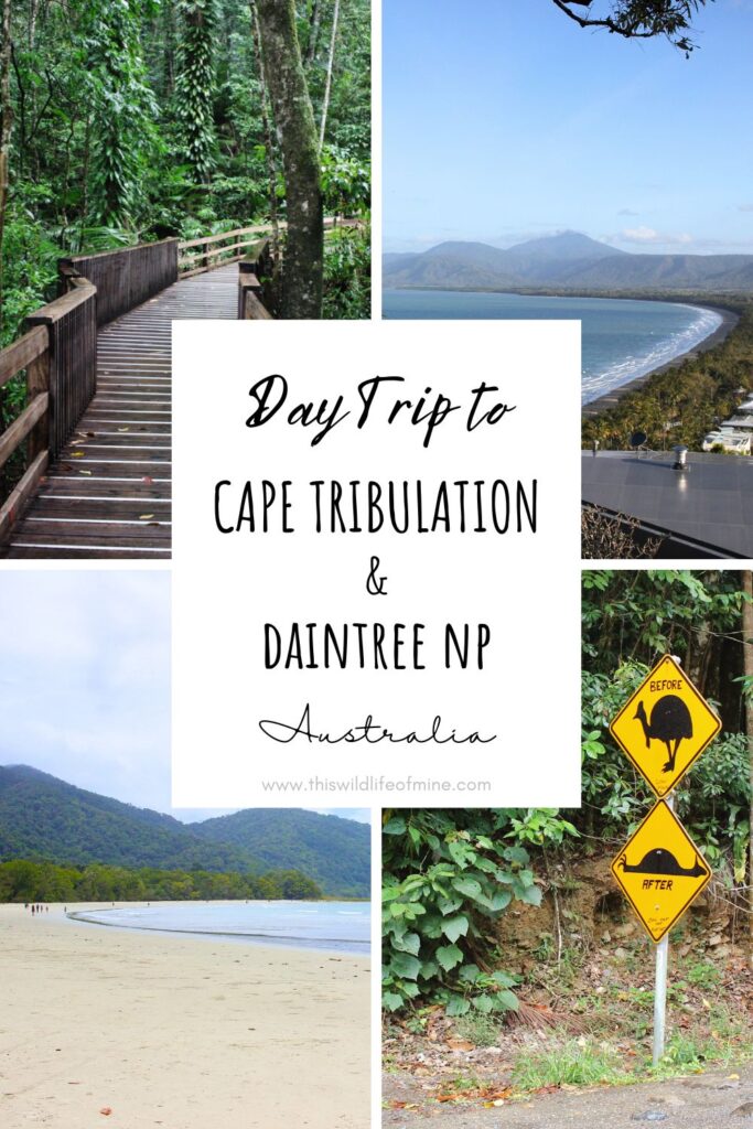 Your guide to an epic day trip to Cape Tribulation and Daintree National Park, Australia