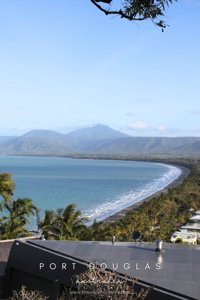 Your guide to an epic day trip to Cape Tribulation and Daintree National Park, Australia
