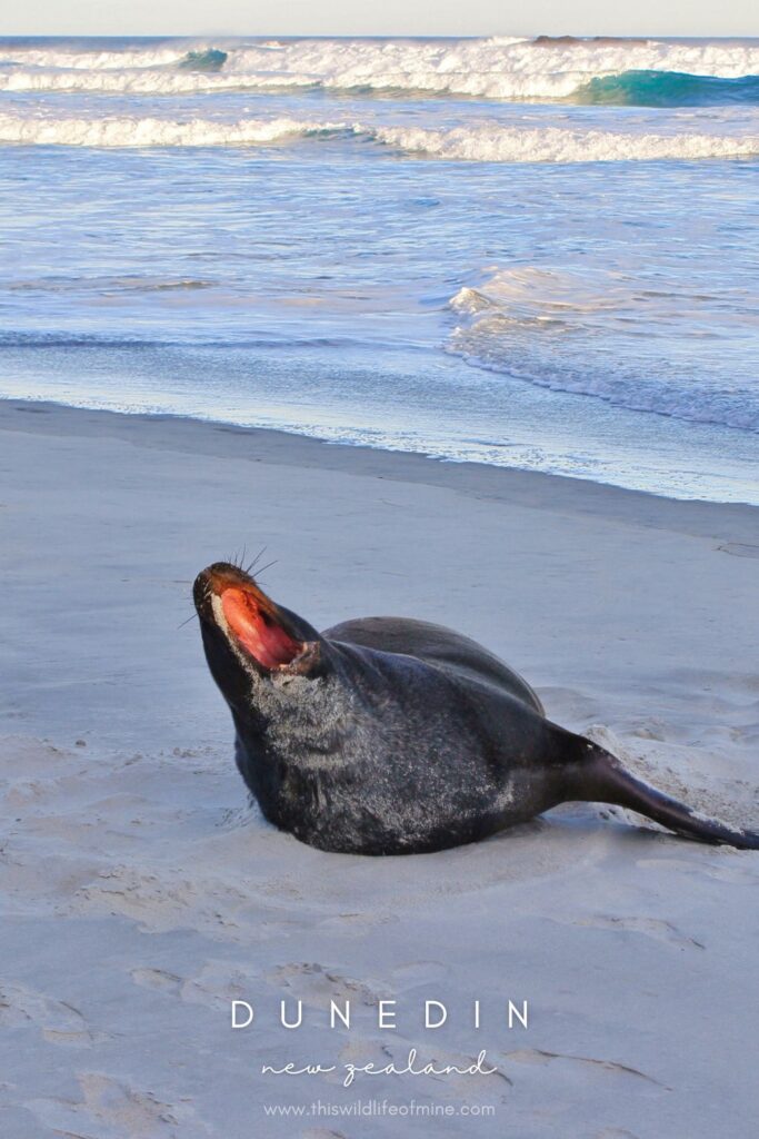 20 of the best New Zealand destinations to add to your bucket list!