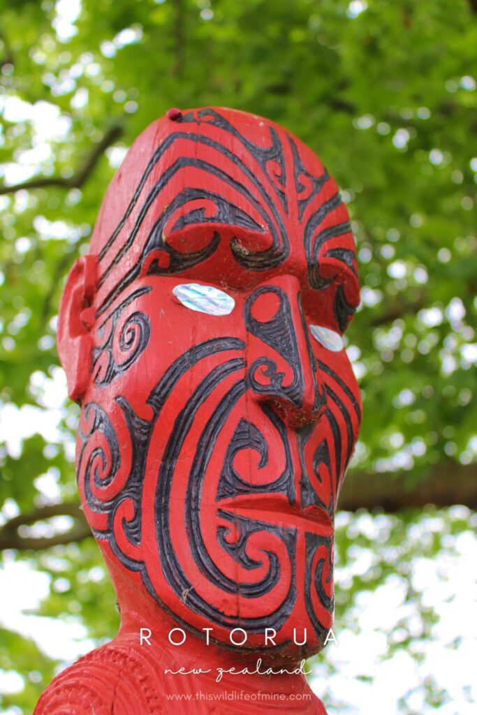 20 of the best New Zealand destinations to add to your bucket list!