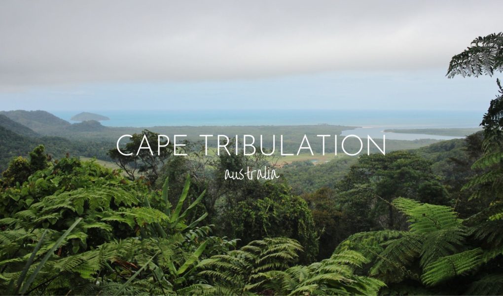Visit Cape Tribulation, where the rainforest meets the ocean, Australia