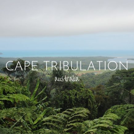 Visit Cape Tribulation, where the rainforest meets the ocean, Australia